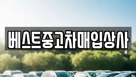 경기 안성시 중고차 전문 베스트중고차매입상사