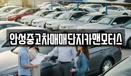 경기 안성시 중고차 전문 안성중고차매매단지카맨모터스