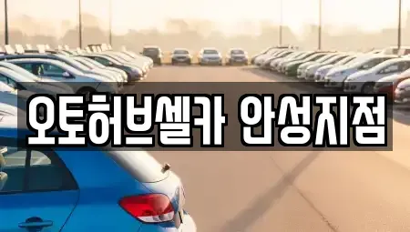 경기 안성시 중고차 전문 오토허브셀카 안성지점