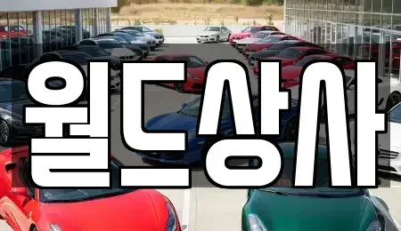경기 안성시 중고차 전문 월드상사