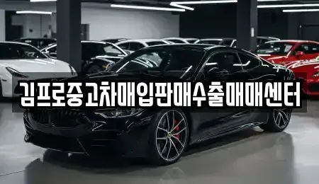 경기 안성시 중고차매입 전문 김프로중고차매입판매수출매매센터