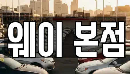 경기 안양시 만안구 단기렌트카 전문 웨이 본점