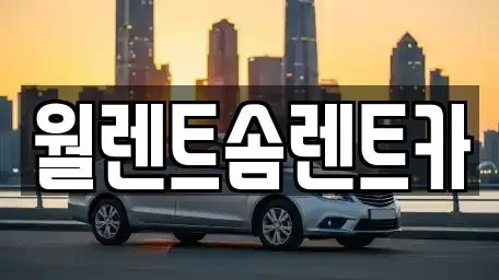 경기 오산시 부산동 렌트카 전문 월렌트솜렌트카