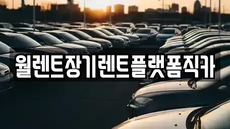 경기 오산시 부산동 장기렌트카 전문 월렌트장기렌트플랫폼직카