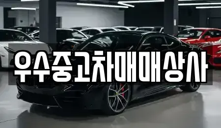 경기 오산시 부산동 중고차매매,단기렌트카,중고차매입,장기렌트카,중고차,렌트카