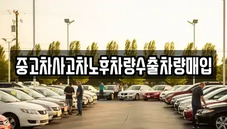 경기 오산시 부산동 중고차매입 전문 중고차사고차노후차량수출차량매입