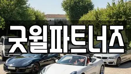 경기 용인시 기흥구 마북동 장기렌트카 전문 굿윌파트너즈