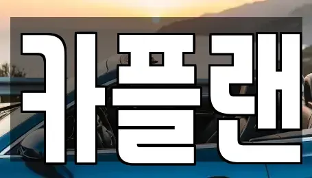 경기 용인시 기흥구 마북동 장기렌트카 전문 카플랜