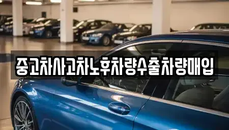 경기 용인시 기흥구 마북동 중고차매입 전문 중고차사고차노후차량수출차량매입