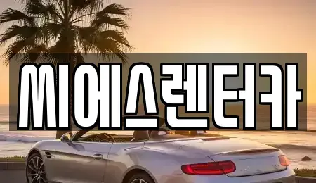 경기 용인시 기흥구 청덕동 렌트카 전문 씨에스렌터카