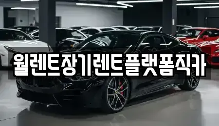 경기 용인시 기흥구 청덕동 장기렌트카 전문 월렌트장기렌트플랫폼직카