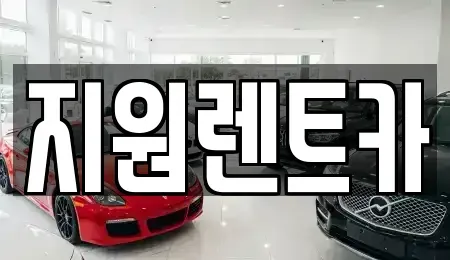 경기 용인시 수지구 렌트카 전문 지원렌트카