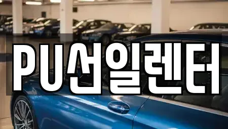 경기 용인시 수지구 장기렌트카 전문 PU선일렌터
