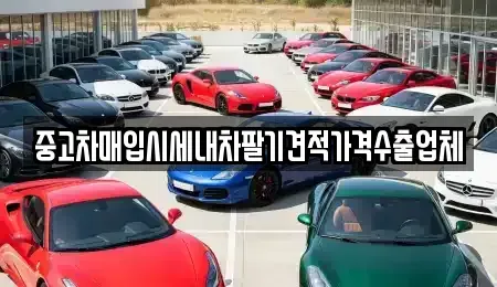 경기 용인시 수지구 중고차매입 전문 중고차매입시세내차팔기견적가격수출업체