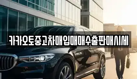 경기 용인시 수지구 중고차매입 전문 카카오토중고차매입매매수출판매시세