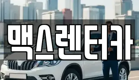 경기 용인시 처인구 유방동 렌트카 전문 맥스렌터카