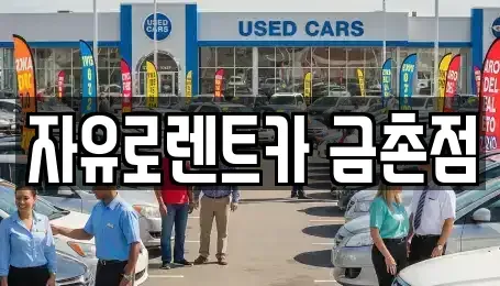 경기 파주시 상지석동 렌트카 전문 자유로렌트카 금촌점