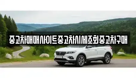 경기 파주시 상지석동 중고차 전문 중고차매매사이트중고차시세조회중고차구매
