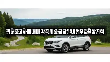 경기 파주시 상지석동 중고차매매 전문 관허중고차매매매각즉시송금당일이전무료출장견적