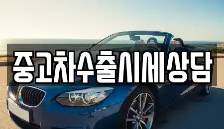 경기 파주시 상지석동 중고차매매 전문 중고차수출시세상담