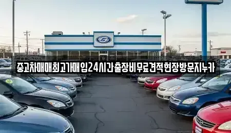 경기 파주시 상지석동 중고차매입 전문 중고차매매최고가매입24시간출장비무료견적현장방문지누카
