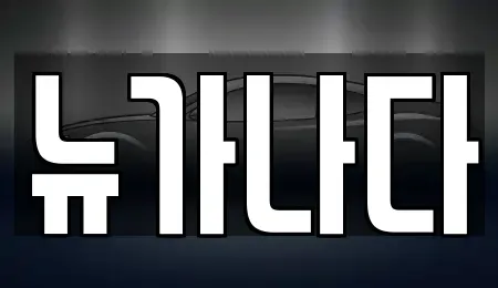 경기 파주시 야동동 렌트카 전문 뉴가나다