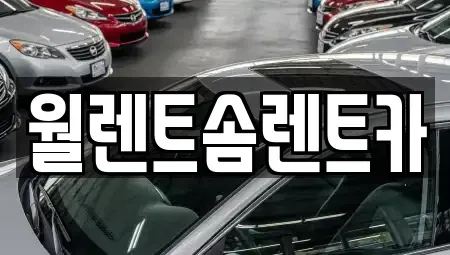 경기 파주시 야동동 렌트카 전문 월렌트솜렌트카