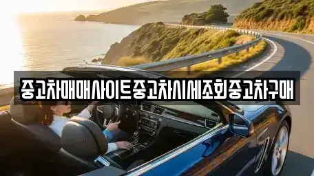 경기 파주시 야동동 중고차매매 전문 중고차매매사이트중고차시세조회중고차구매