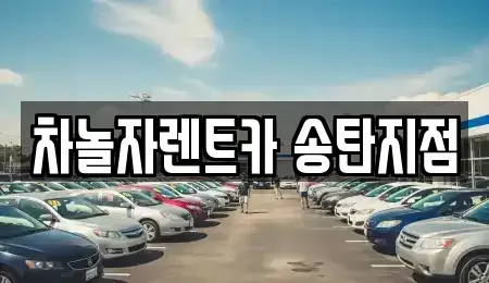 경기 평택시 단기렌트카 전문 차놀자렌트카 송탄지점