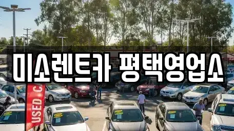 경기 평택시 렌트카 전문 미소렌트카 평택영업소