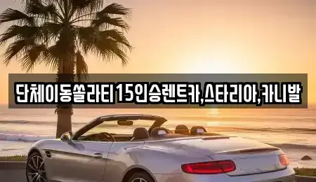 경기 평택시 용이동 렌트카 전문 단체이동쏠라티15인승렌트카,스타리아,카니발