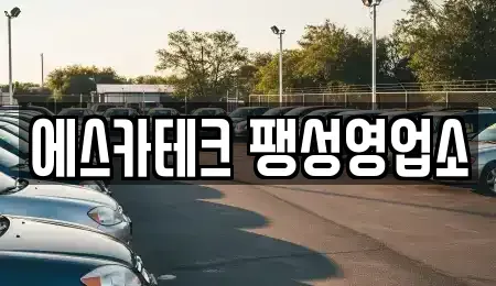 경기 평택시 용이동 렌트카 전문 에스카테크 팽성영업소