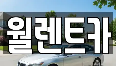 경기 평택시 용이동 렌트카 전문 월렌트카