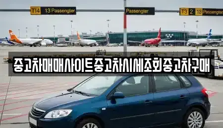 경기 평택시 용이동 중고차 전문 중고차매매사이트중고차시세조회중고차구매