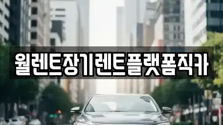 경기 평택시 장기렌트카,중고차,렌트카,단기렌트카,중고차매입,중고차매매