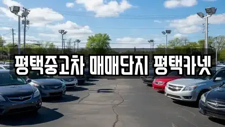 경기 평택시 중고차 전문 평택중고차 매매단지 평택카넷
