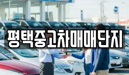 경기 평택시 중고차 전문 평택중고차매매단지