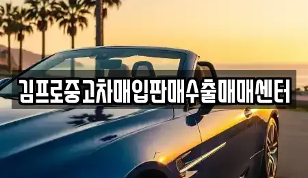 경기 평택시 중고차매입 전문 김프로중고차매입판매수출매매센터