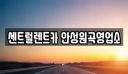 경기 평택시 청룡동 단기렌트카 전문 센트럴렌트카 안성원곡영업소