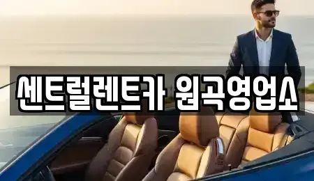 경기 평택시 청룡동 렌트카 전문 센트럴렌트카 원곡영업소