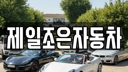 경기 평택시 청룡동 중고차 전문 제일조은자동차