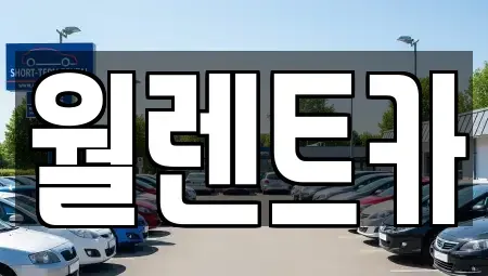 경기 평택시 칠괴동 렌트카 전문 월렌트카
