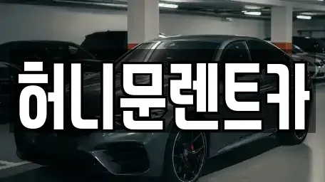 경기 포천시 신읍동 렌트카 전문 허니문렌트카