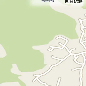 경기 포천시 신읍동 렌트카 허니문렌트카 위치