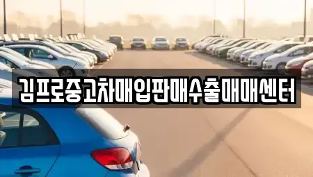 경기 포천시 신읍동 중고차 전문 김프로중고차매입판매수출매매센터