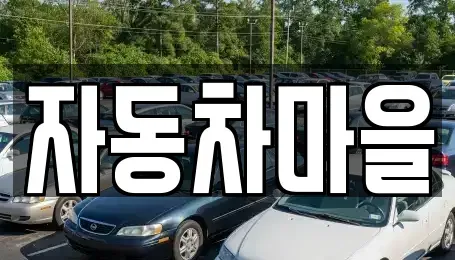 경기 포천시 신읍동 중고차 전문 자동차마을
