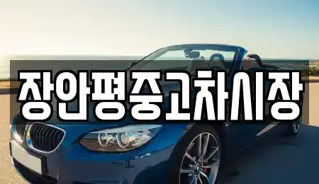 경기 포천시 신읍동 중고차 전문 장안평중고차시장