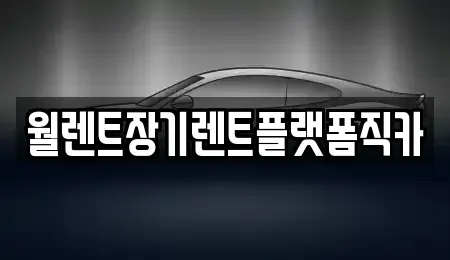 경기 하남시 상사창동 렌트카 전문 월렌트장기렌트플랫폼직카