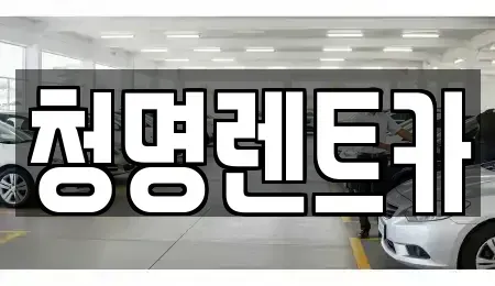 경기 화성시 병점동 단기렌트카 전문 청명렌트카