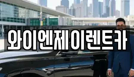 경기 화성시 장지동 렌트카 전문 와이엔제이렌트카